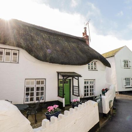 Teign Cottage Teignmouth Exteriör bild