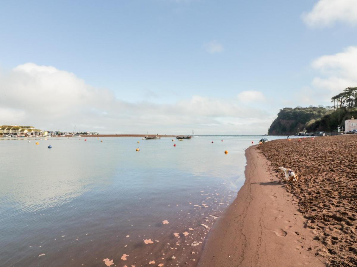 Teign Cottage Teignmouth Exteriör bild